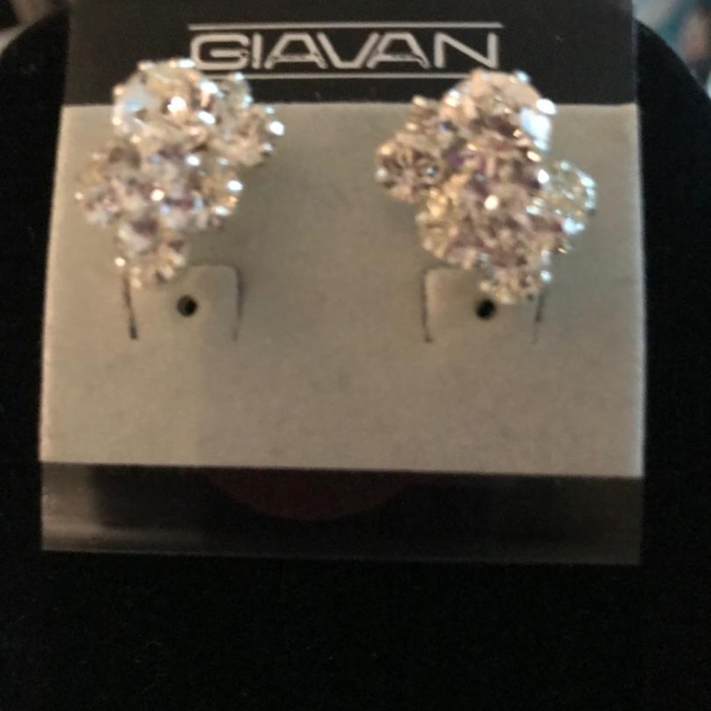 GIAVAN EARRINGS - Picture 2 of 6